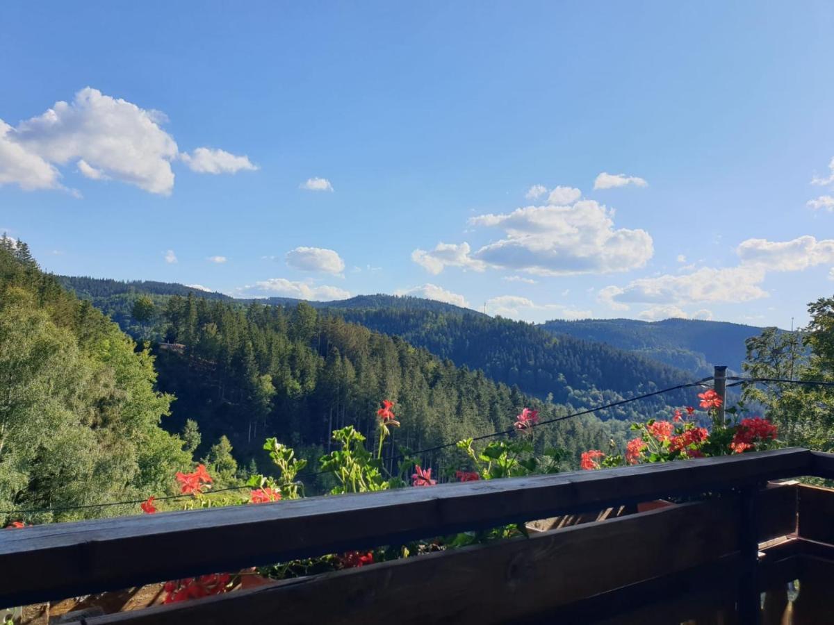 Appartamento Landhaus Valentin Triberg im Schwarzwald Esterno foto