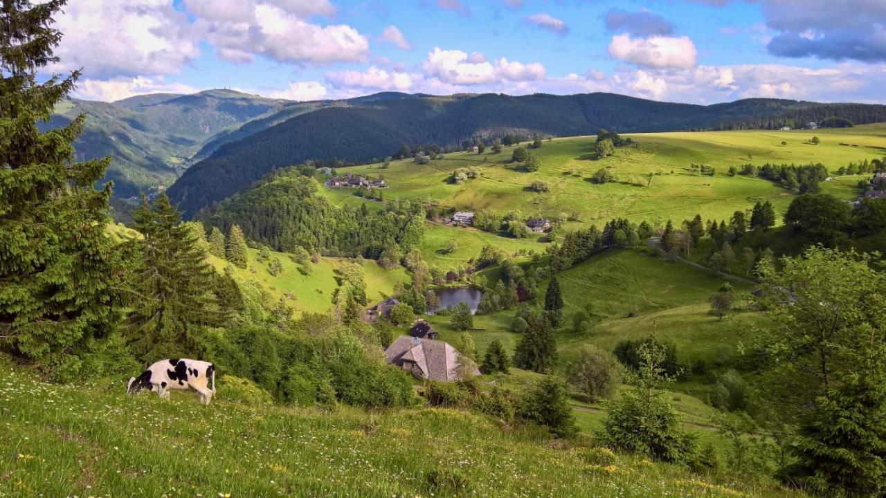 Appartamento Landhaus Valentin Triberg im Schwarzwald Esterno foto