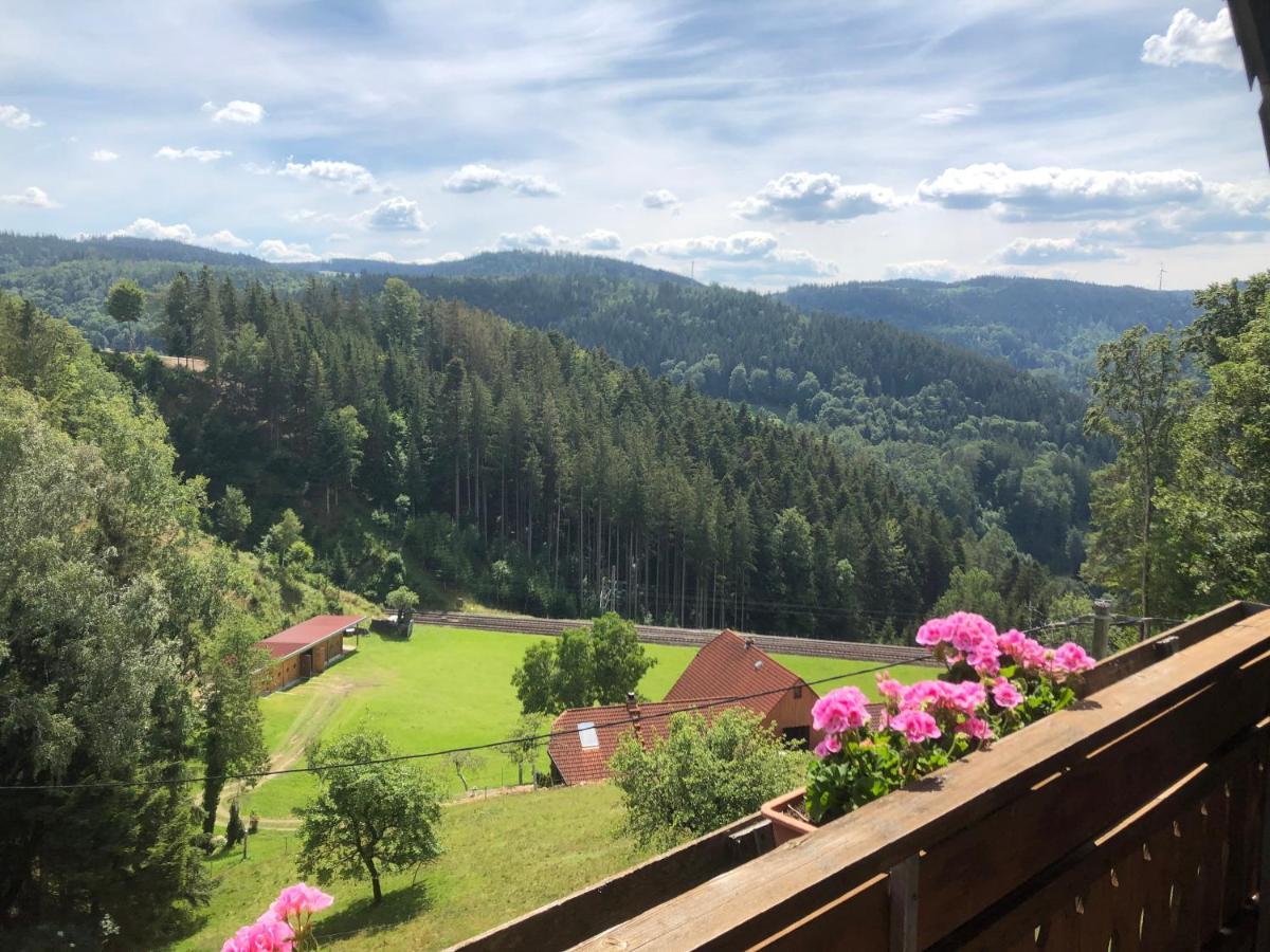 Appartamento Landhaus Valentin Triberg im Schwarzwald Esterno foto