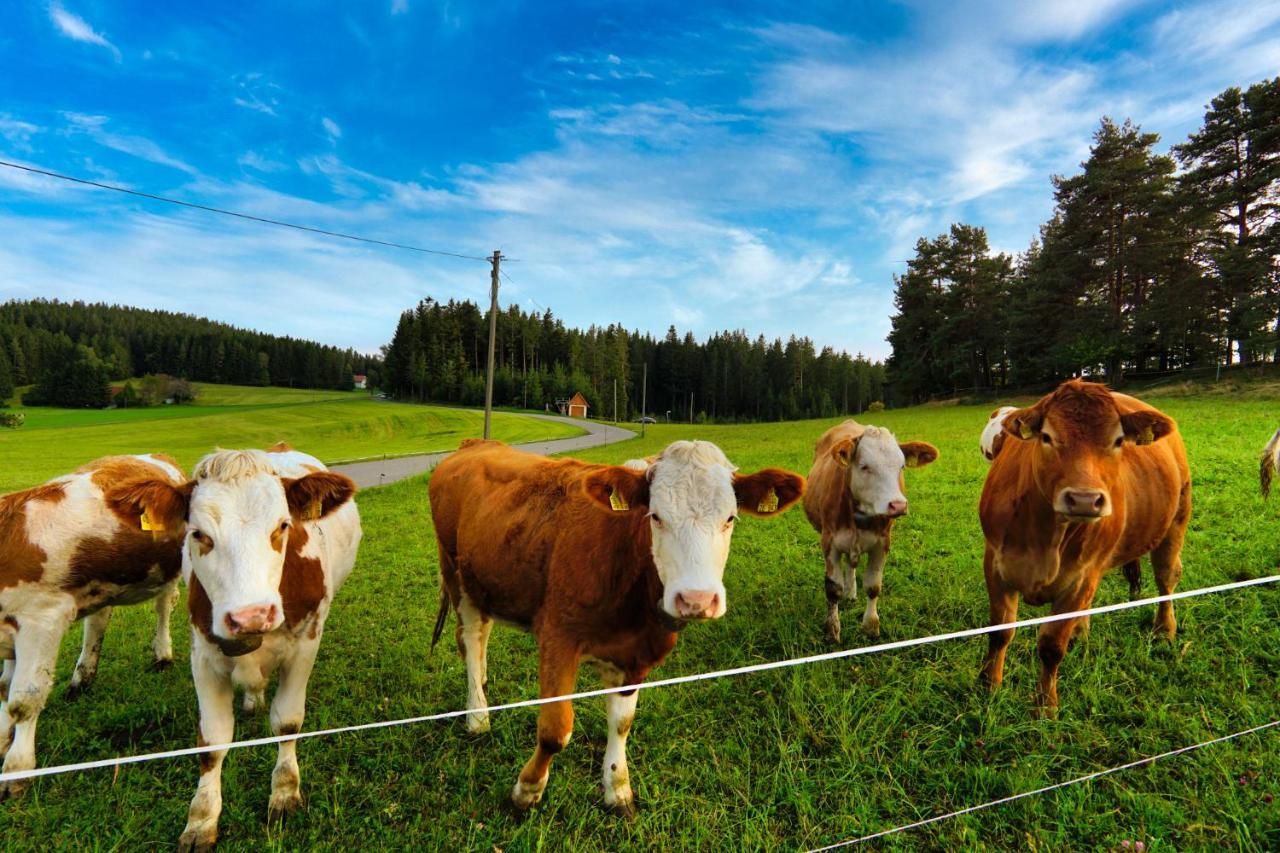 Appartamento Landhaus Valentin Triberg im Schwarzwald Esterno foto