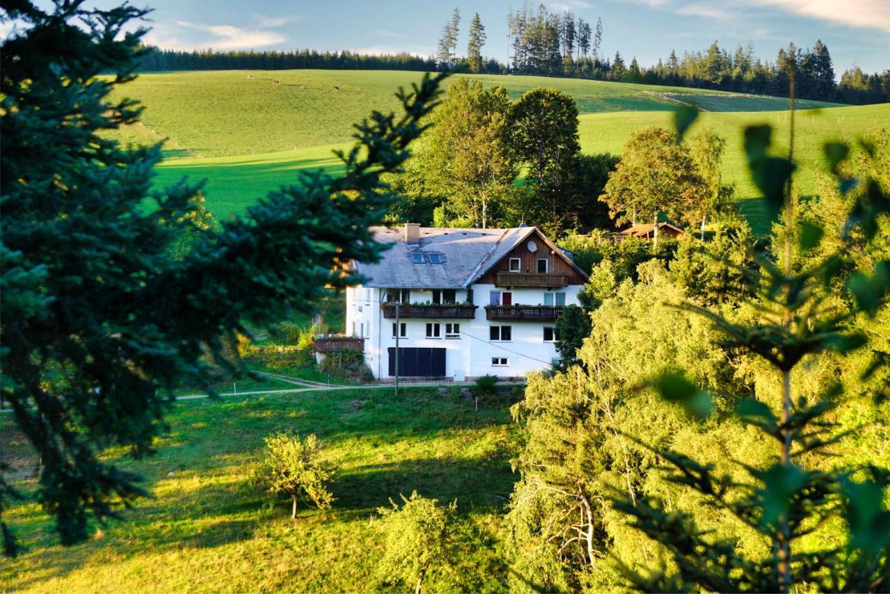 Appartamento Landhaus Valentin Triberg im Schwarzwald Esterno foto