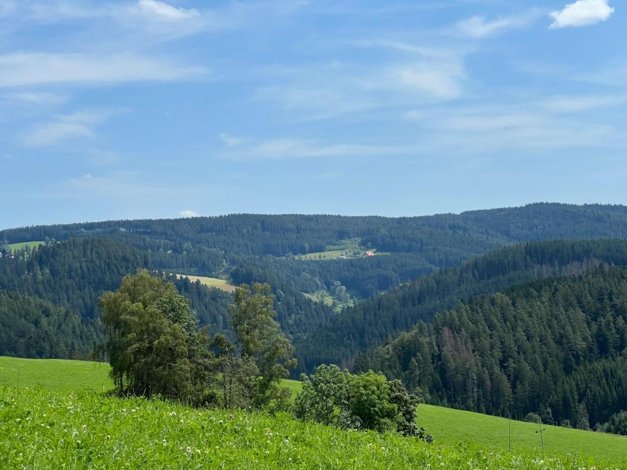 Appartamento Landhaus Valentin Triberg im Schwarzwald Esterno foto