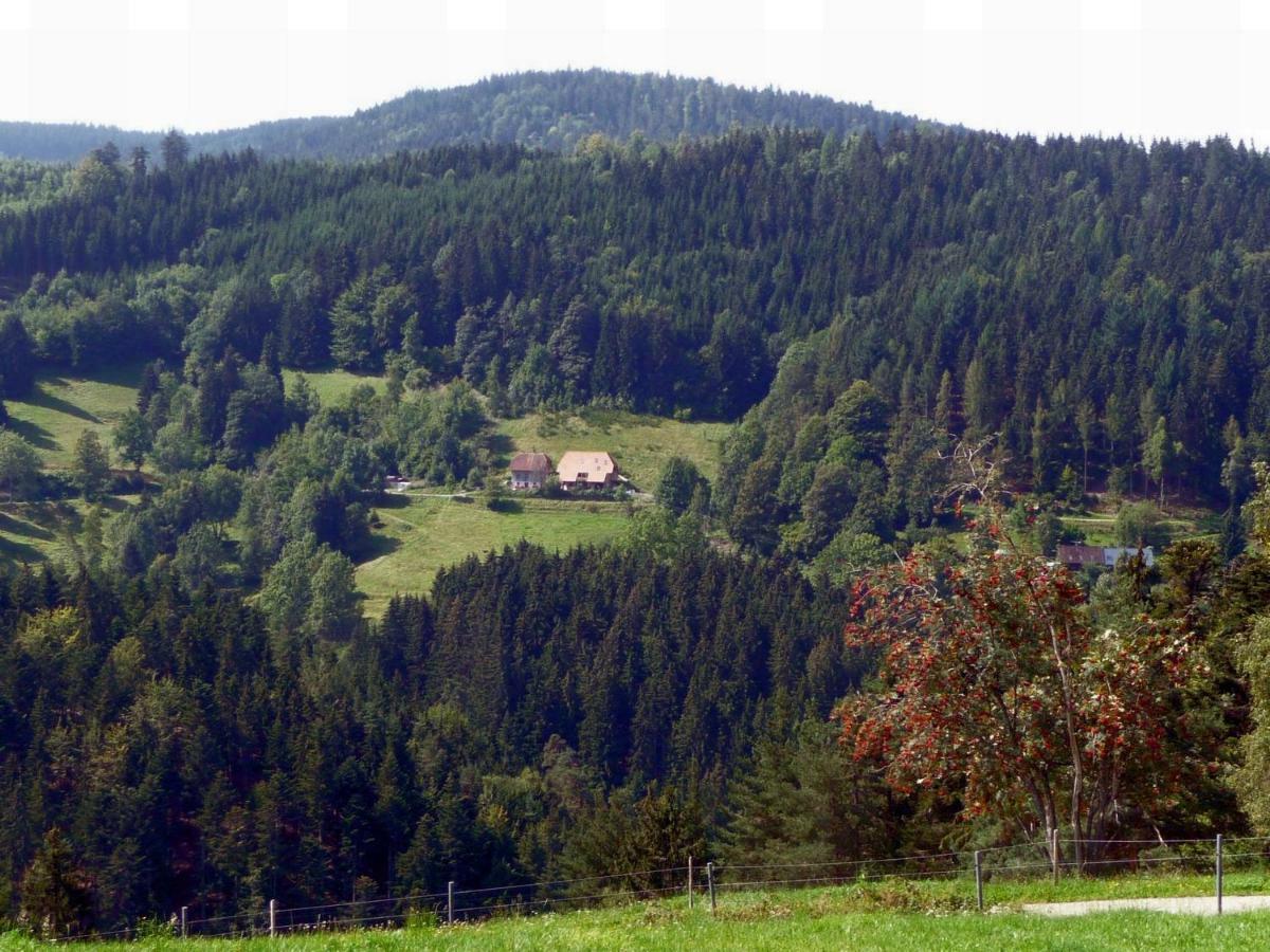 Appartamento Landhaus Valentin Triberg im Schwarzwald Esterno foto